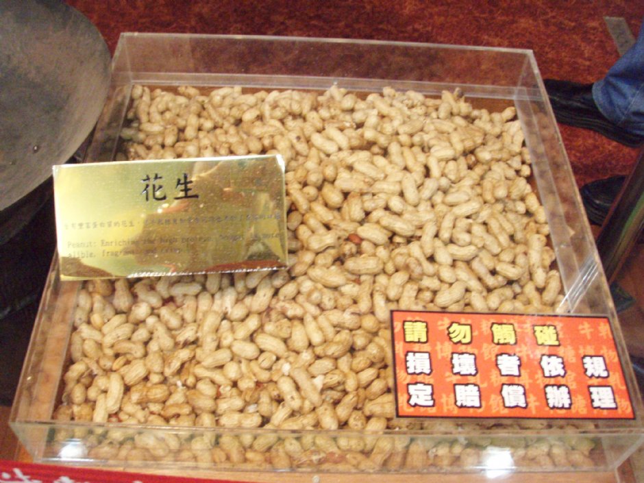 大粒花生 攝影：鄭瑄頤