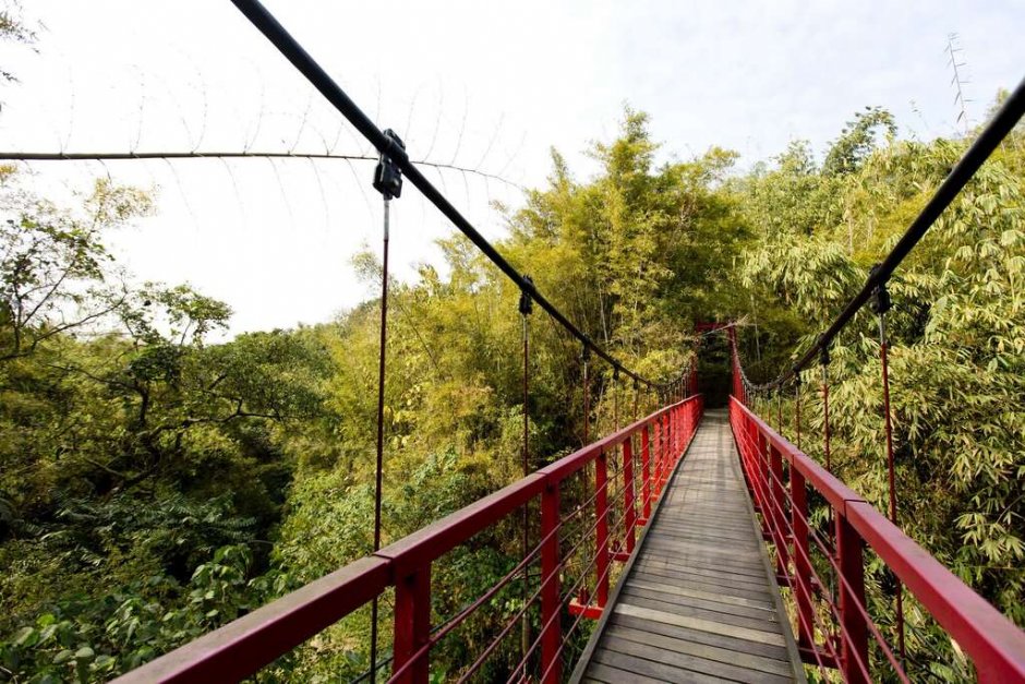 虎形山公園 攝影：照片來源_台南市觀旅局