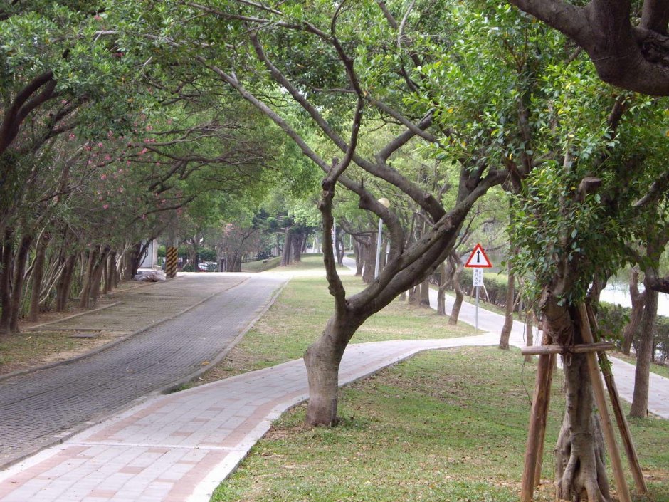 觀景步道 攝影：老山羊部落格