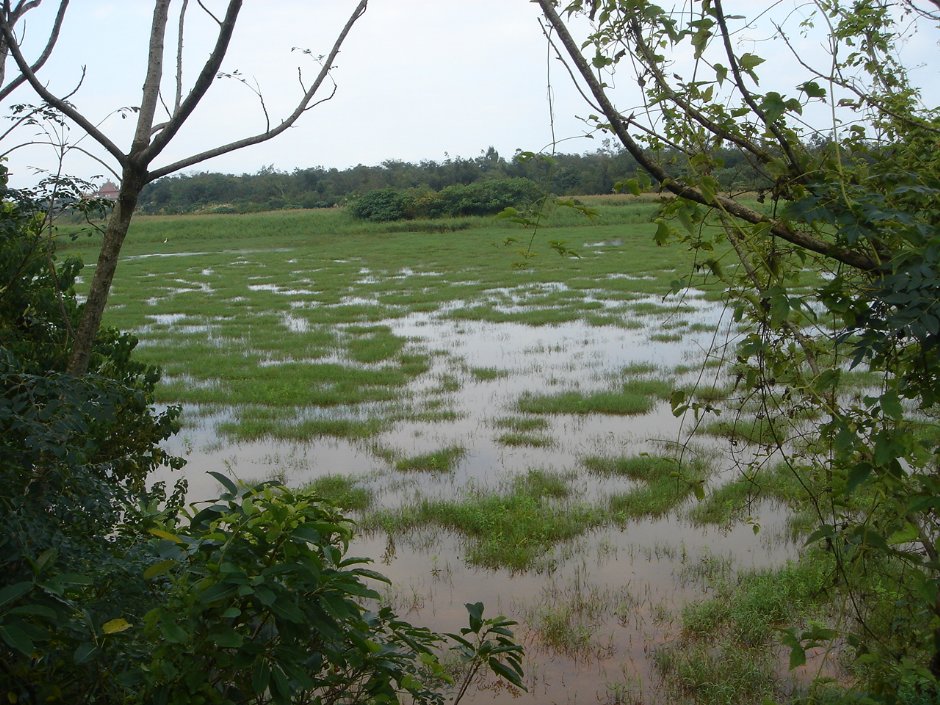 無尾港水鳥保護區 攝影：余燕鳳