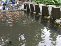 原生應用植物園<br/> 攝影：Louis