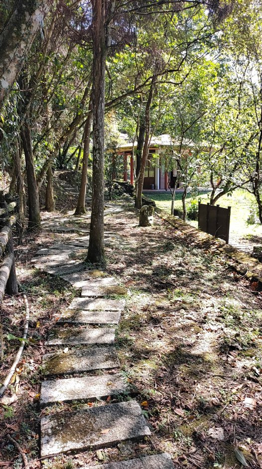 坪林石雕公園 攝影：Louis提供