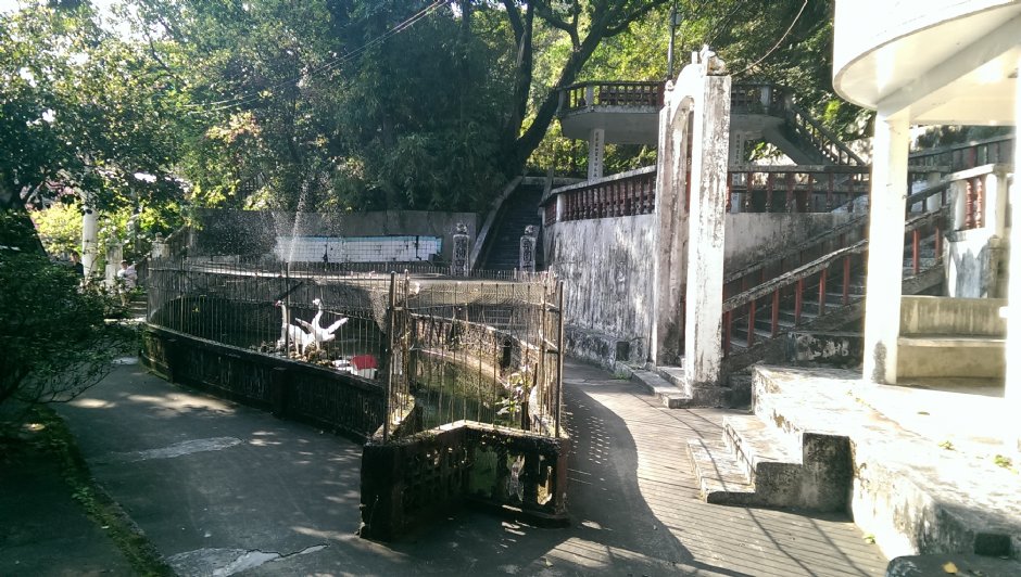 基隆中正公園 攝影：Eva隨手拍