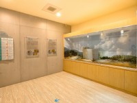 屋燕與洞燕的差異解說<br/> 攝影：新百祿燕窩觀光工廠 提供