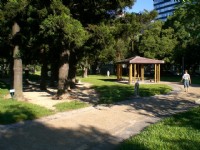 榮星公園<br/> 攝影：amo