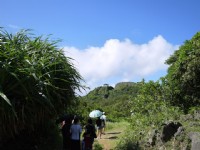 社頂草原遠望涵碧亭<br/> 攝影：三井