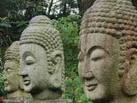 魏晉五代十國佛頭<br/> 攝影：三才靈芝礦石有機生態休閒農場