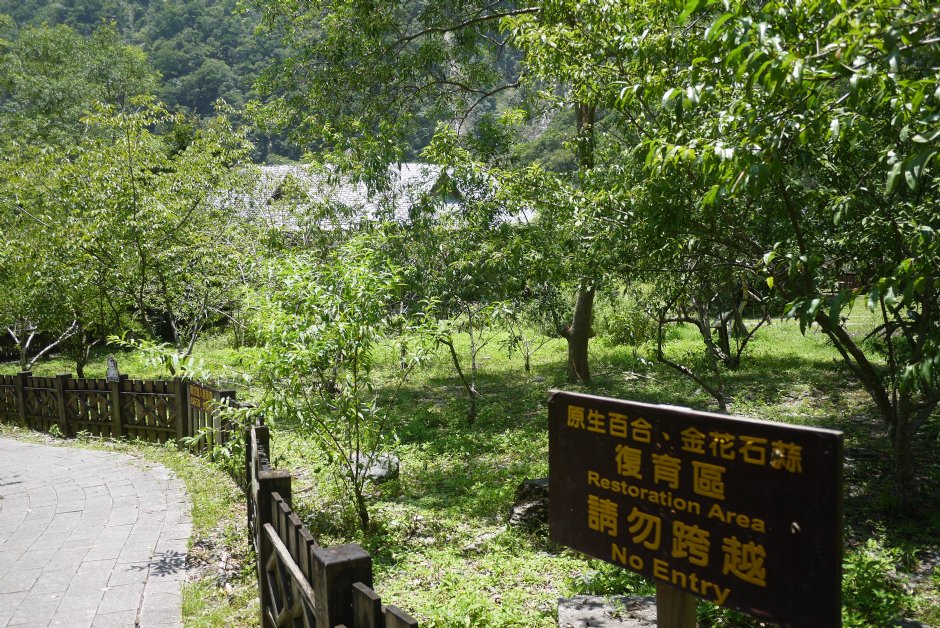 布洛灣山月村201607 攝影：旅遊王攝影組