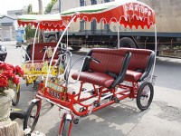 賞花專車<br/> 攝影：鄭瑄頤
