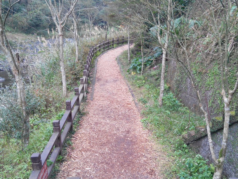 木屑步道 攝影：Lu