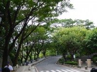 壽山國家自然公園<br/> 攝影：三井