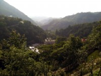 紅葉公園<br/> 攝影：林山景