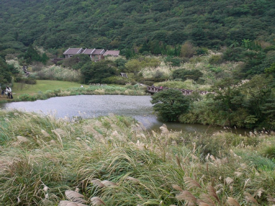 大屯山自然公園 攝影：amo