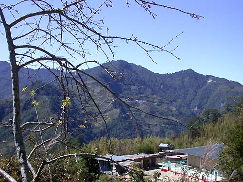 新光部落 攝影：阿英的登山小站