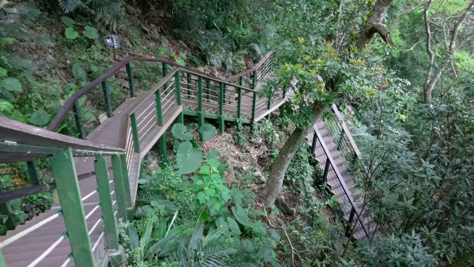 小錐麓步道 攝影：Eva隨手拍