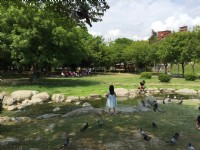 2016中央公園<br/> 攝影：旅遊王攝影組
