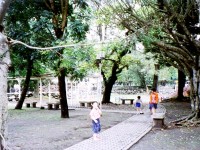 竹山遊憩公園<br/> 攝影：南投縣政府