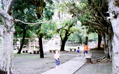 竹山遊憩公園 攝影：南投縣政府