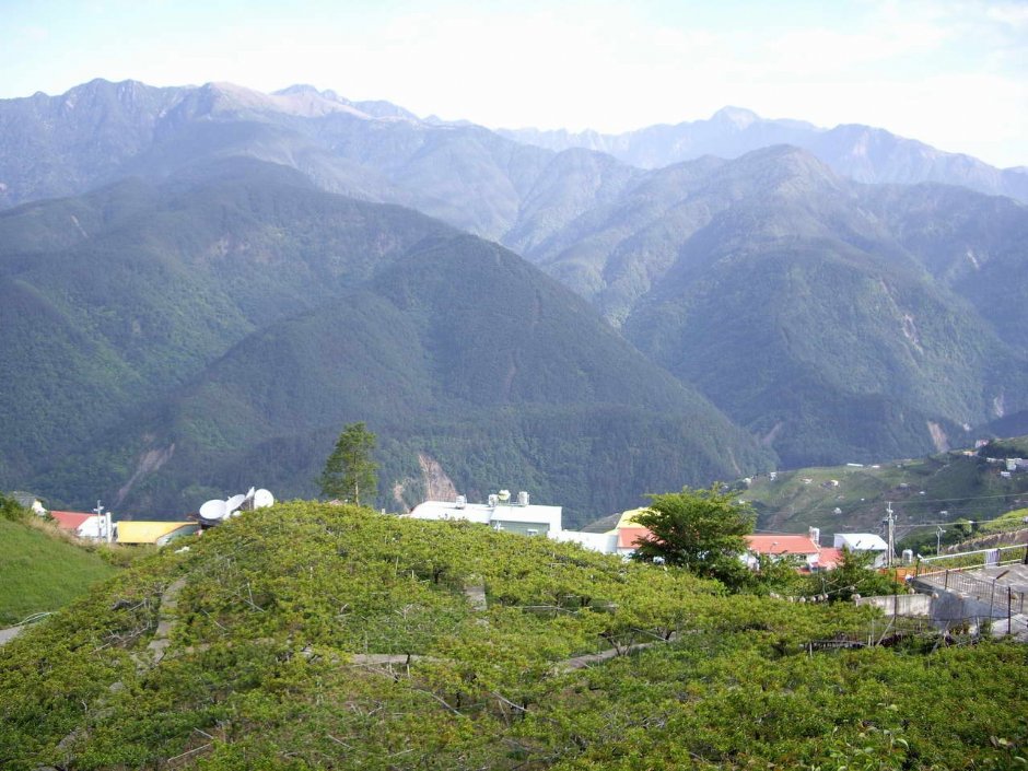 遠眺雪山山脈 攝影：老山羊部落格