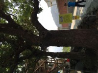 坪瀨風景區<br/> 攝影：旅遊王攝影組