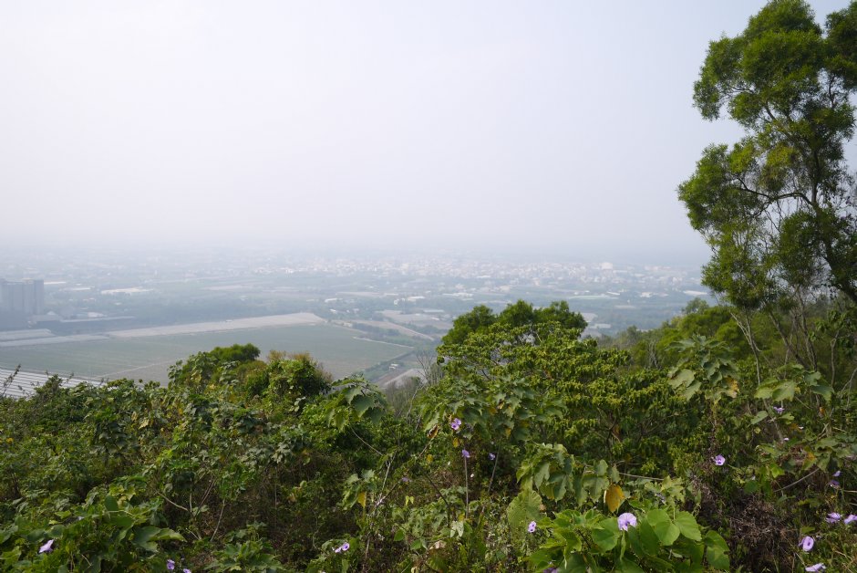 大崗山風景區生態區 攝影：三井
