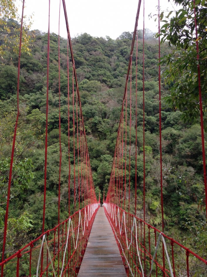 天龍吊橋 攝影：林錦萍