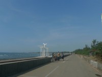 新屋綠色走廊自行車道<br/> 攝影：Eva隨手拍
