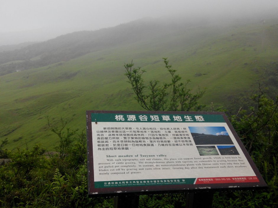 桃源谷 攝影：Lu