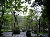 油桐林園<br/> 攝影：老山羊部落格