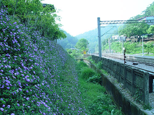 鐵道一景 攝影：小管