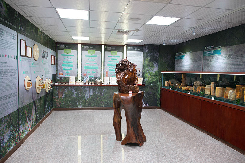 麗豐微酵館 攝影：麗豐微酵館 提供