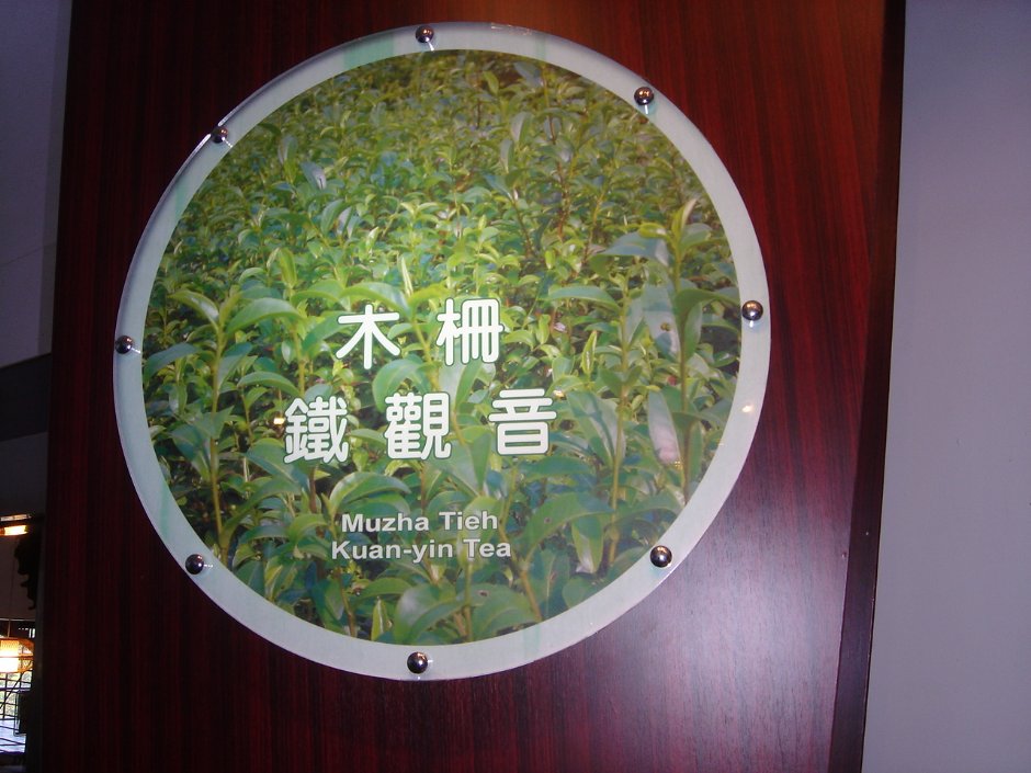 鐵觀音介紹 攝影：余燕鳳