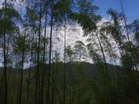 木馬古道<br/> 攝影：Eva隨手拍
