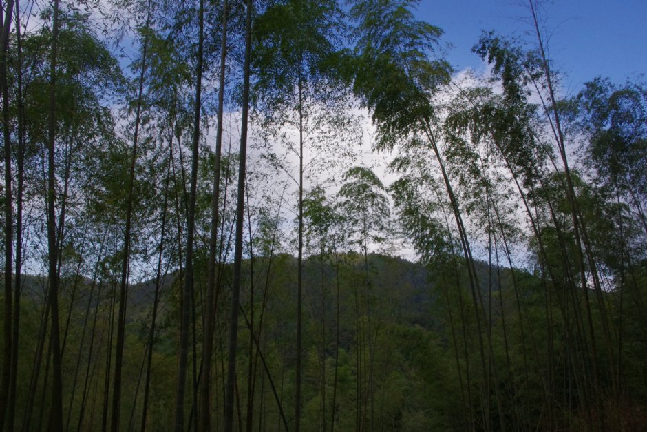 木馬古道 攝影：Eva隨手拍