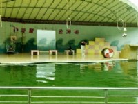 海獅表演3<br/> 攝影：呂玫瑢