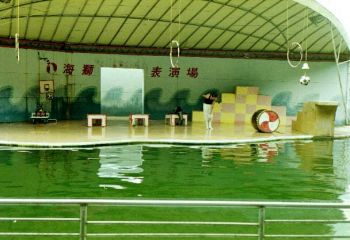 海獅表演3 攝影：呂玫瑢
