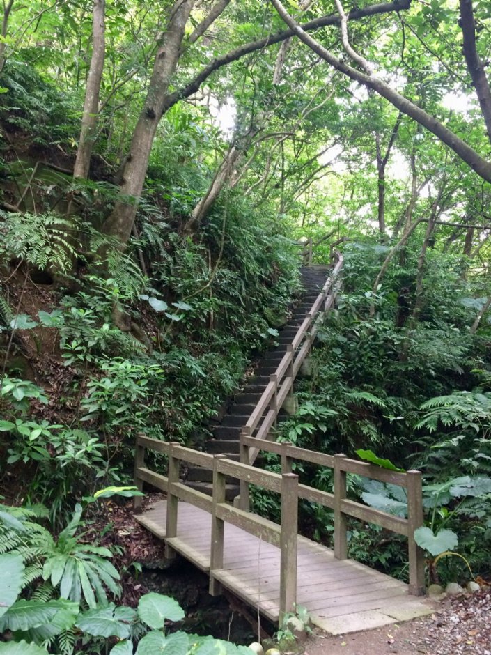 富陽自然生態公園 攝影：Eva隨手拍
