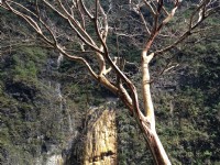 霧鹿溫泉源頭<br/> 攝影：林錦萍