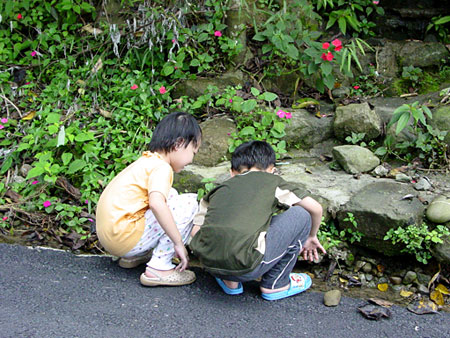 天真 攝影：小管