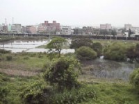 火車來了<br/> 攝影：郭香妙