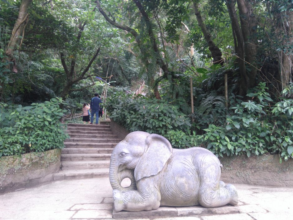 象山自然步道 攝影：Lu
