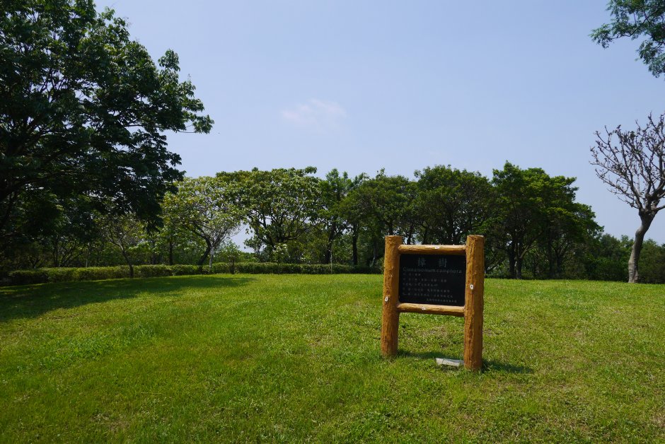 原生植物園 攝影：三井