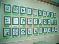 草藥博物館<br/> 攝影：雲林縣政府