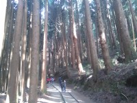 特富野古道<br/> 攝影：Lu
