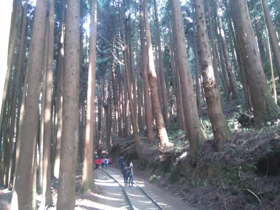 特富野古道 攝影：Lu