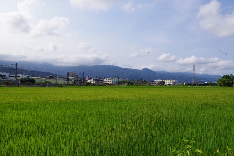 石板桥周边田间景色 摄影：Eva隨手拍