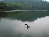 慈湖