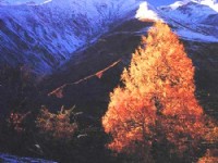 山水化情<br/> 攝影：四川旅遊信息網