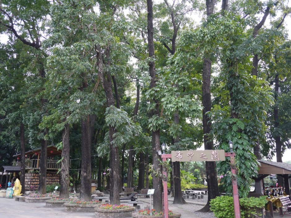 8大森林樂園 攝影：三個井