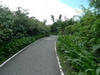 兩潭自行車道<br/> 攝影：Eva隨手拍